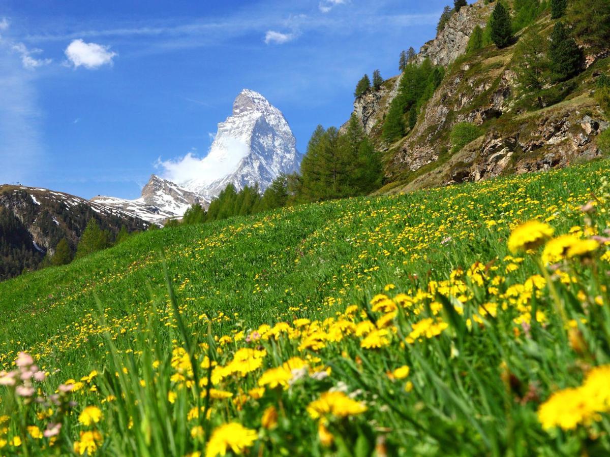 Apartment Haus Rollin By Interhome Zermatt Ngoại thất bức ảnh